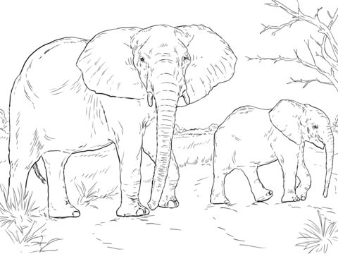 African Elephant Mother And Baby Coloring Page